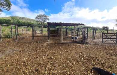 Imagem 9: Oportunidade fazenda de 85 hectares por apenas 370 mil