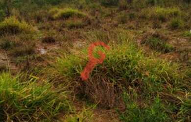 Imagem 3: TERRENO à venda por R$ 127.000,00 no bairro Estância Velha - CANOAS...