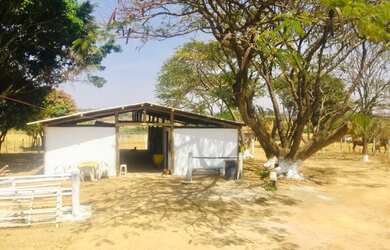 Imagem 4: Chácara rota do cavalo. Churrasqueirae20.000m² de Área