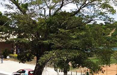 Imagem 11: Lote/Terreno para venda tem 1000 metros quadrados