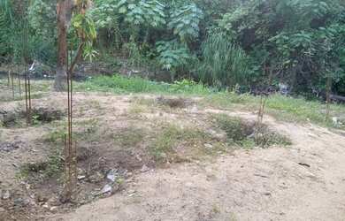 Imagem 1: Terreno de 5.000. 