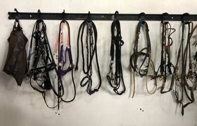 Imagem 2: Chácara rota do cavalo. Churrasqueirae20.000m² de Área