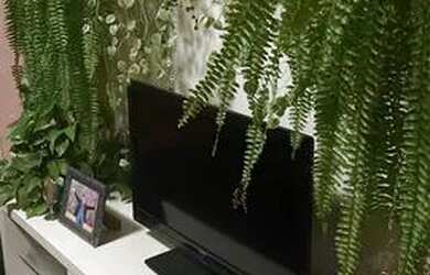 Imagem: O quarto está localizado em Colubande, São Gonçalo para alugar