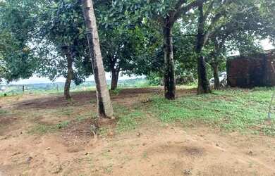 Imagem 6: Terreno disponível para venda