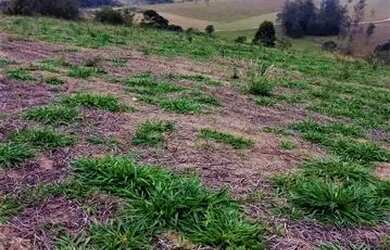 Imagem 5: Lote/Terreno para venda com 500 metros quadrados em Jardim Tapajós -...