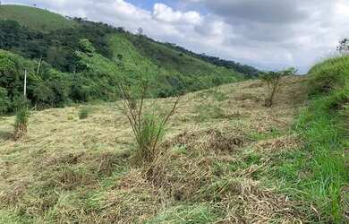 Imagem 11: LOTE COM VISTA PARA O LAGO