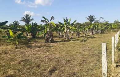 Imagem: A chácara está localizado em Área Rural de Porto Velho, Porto