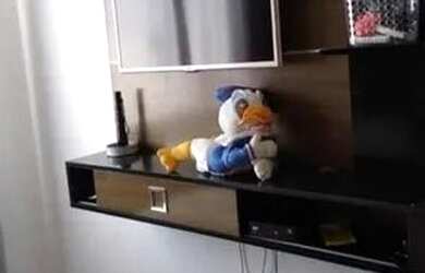 Imagem 5: Apartamento em Perequê - Porto Belo