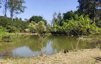 Imagem 3: Lote/Terreno para venda com 175 metros quadrados em Parque Novo Mundo...