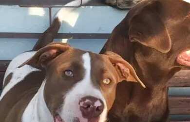 Imagem: O apartamento possui 2 Dormitórios, 1 Banheiro e está localizado