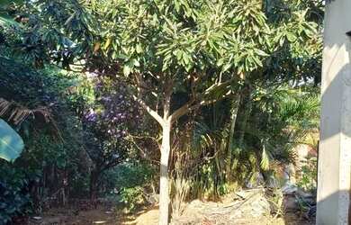 Imagem 6: Chácara c/ casa simples no bairro Genebra próx. a Brigadeiro Tobias....