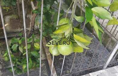 Imagem 16: Casa à venda no bairro Brasilândia - São Gonçalo/RJ