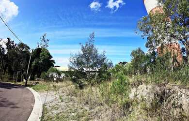 Imagem 5: Terreno - Bairro Floresta