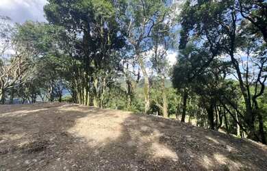 Imagem 7: Área - Bairro Sierra Park