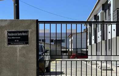 Imagem 6: Repasse pau amarelo