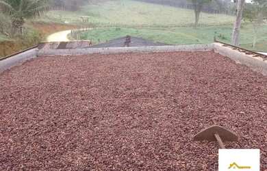 Imagem: A fazenda possui 36m² de Área, Imóvel novo e está localizado