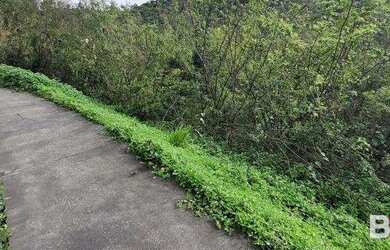 Imagem 7: Terreno à venda, 430 m² por R$ 120.000,00 - Badenfurt - Blumenau/SC