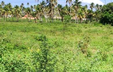 Imagem: O terreno possui 140m² de Área e está localizado em Porto