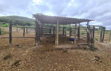 Imagem 6: Oportunidade fazenda de 85 hectares por apenas 370 mil