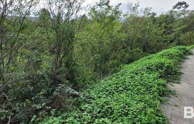 Imagem 5: Terreno à venda, 430 m² por R$ 120.000,00 - Badenfurt - Blumenau/SC