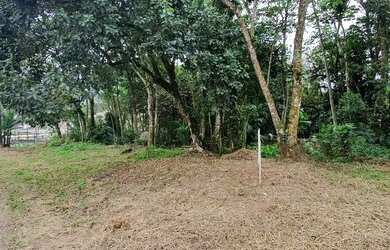 Imagem 4: Lote Residencial. 360m² de Área