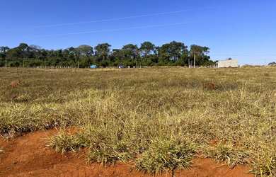 Imagem: A fazenda possui 1.000m² de Área e está localizado em Nova