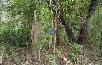 Imagem: O terreno possui 1.000m² de Área e está localizado em Vianópolis