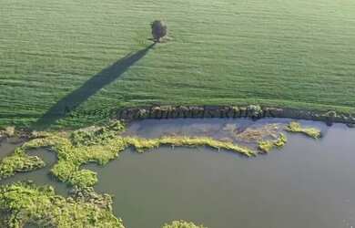 Imagem 2: Sítio com 11 alqueires para agricultura Nogueira Imóveis Rurais