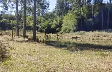 Imagem 8: Lote/Terreno para venda com 175 metros quadrados em Parque Novo Mundo...