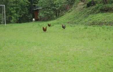 Imagem 6: HOTEL em BLUMENAU / GASPAR SC