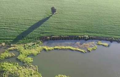 Imagem 1: Sítio com 11 alqueires para agricultura Nogueira Imóveis Rurais