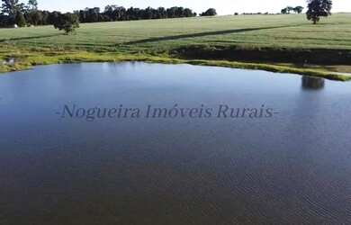 Imagem 9: Sítio com 11 alqueires para agricultura Nogueira Imóveis Rurais