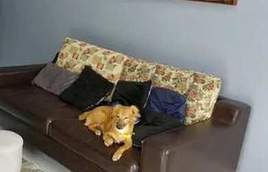 Imagem 3: Vendo Casa Cond Jardim Portugal