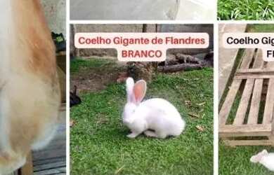 Imagem: A casa possui 2 Dormitórios, 2 Banheiros, Imóvel novo e está