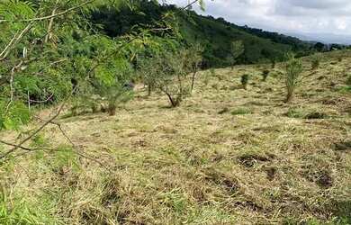 Imagem 15: LOTE COM VISTA PARA O LAGO