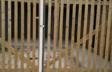 Imagem 5: Tenho casinha na praia 600 reis livre de tudo