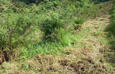 Imagem 14: LOTE COM VISTA PARA O LAGO