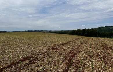 Imagem 3: Sítio de 8 alqueires na colônia nova