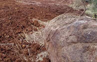 Imagem 6: Chácara em Santa Tereza do Oeste