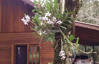 Imagem 9: SITIO EM NOVA PETRÓPOLIS