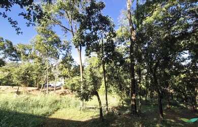 Imagem: O terreno possui 3.769m² de Área e está localizado em Goiânia