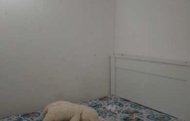 Imagem 6: Vilas de Abrantes Casa 4/4 Varanda, Garagem, Área de Serviço Sinal Parcelas