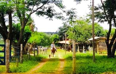 Imagem 1: Chácara rota do cavalo. Churrasqueirae20.000m² de Área