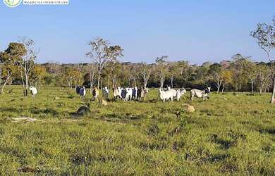 Imagem: A fazenda possui 4840000m² de Área e está localizado em Loteamento