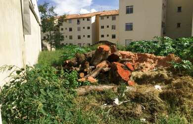 Imagem 3: Lote e loja Galpão / depósito com 3 vagas na garagem