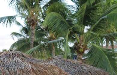 Imagem 7: RF- Vela Santo Cristo São Miguel do Gostoso