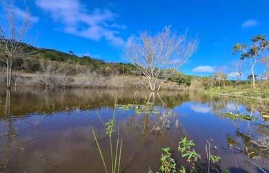 Imagem 2: Oportunidade fazenda de 85 hectares por apenas 370 mil