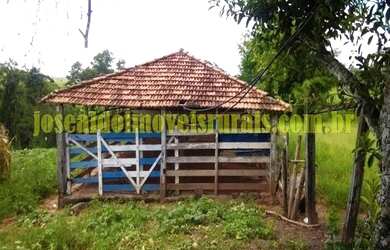 Imagem 6: Fazenda 450,0 hectares em pecuária, São Gonçalo do Abaeté MG