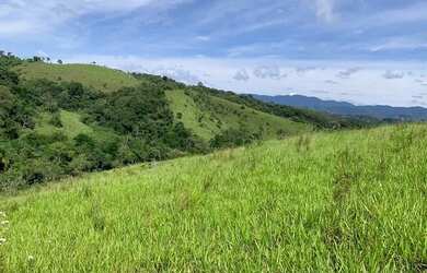 Imagem 4: LOTE COM VISTA PARA O LAGO