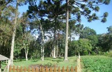 Imagem: O terreno possui 29.988m² de Área e está localizado em Canela